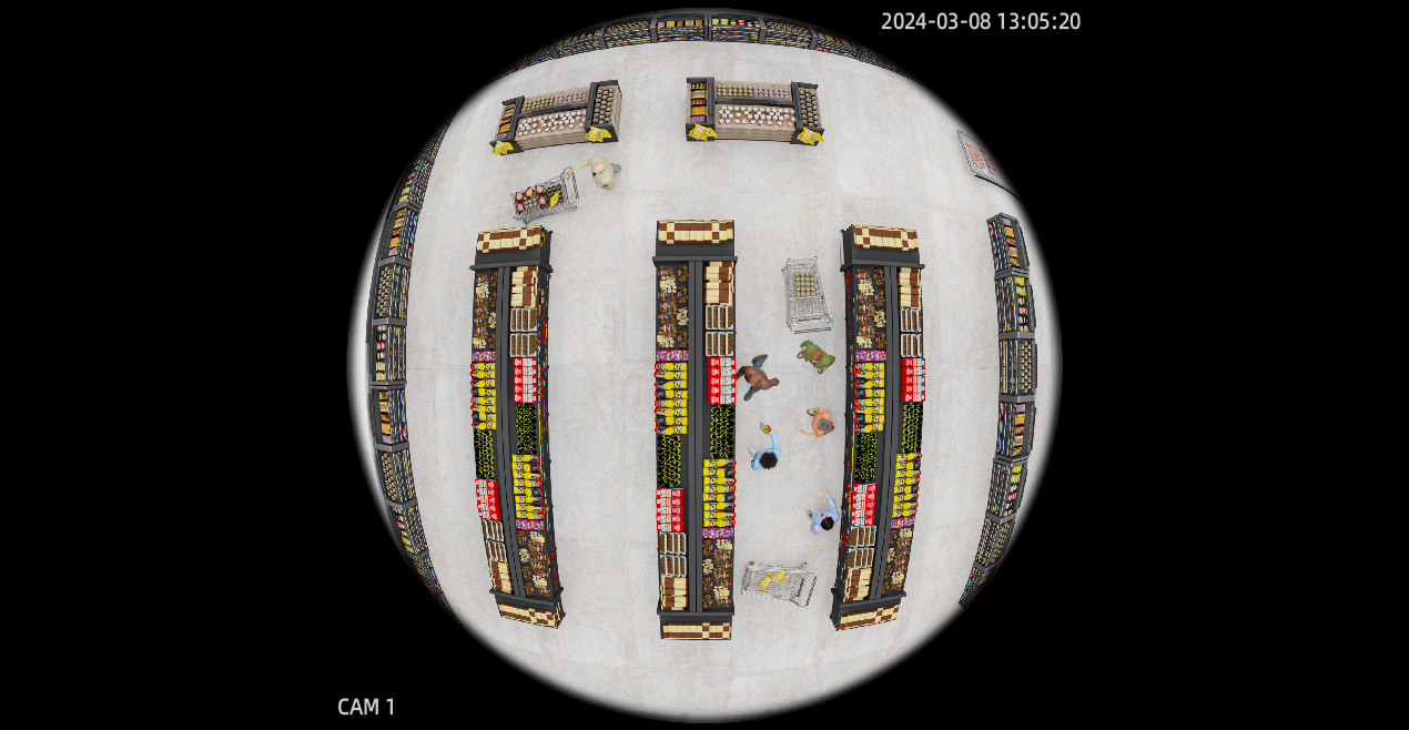 fisheye security cameras, panoramic cameras, 360 cameras